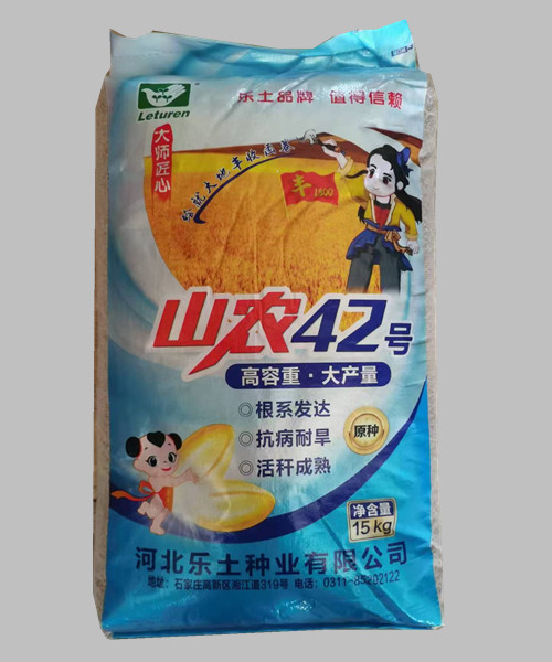 山农42   双国审+冀中北审，耐旱节水
